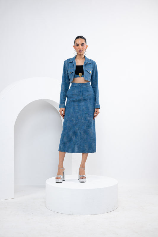 Lion Bralette with Dotted Skirt and Jacket