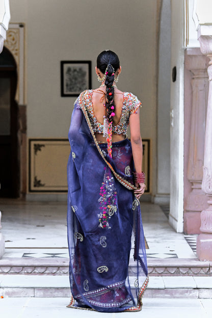 AMBER BLOOM DAMAN SAREE WITH PAISLEY EMBROIDERED PALLA , PETTICOAT AND EMBROIDERED BLOUSE
