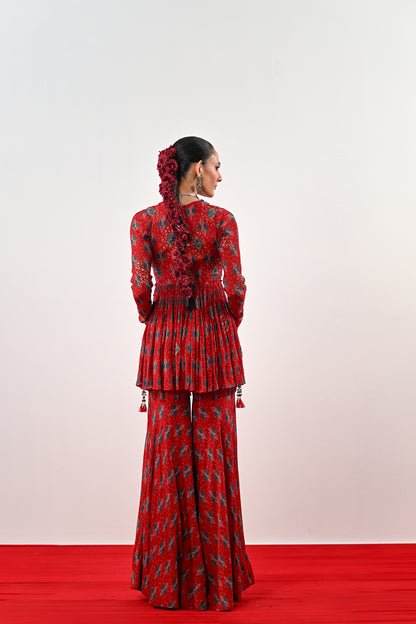 SCARLET ANARKALI SET