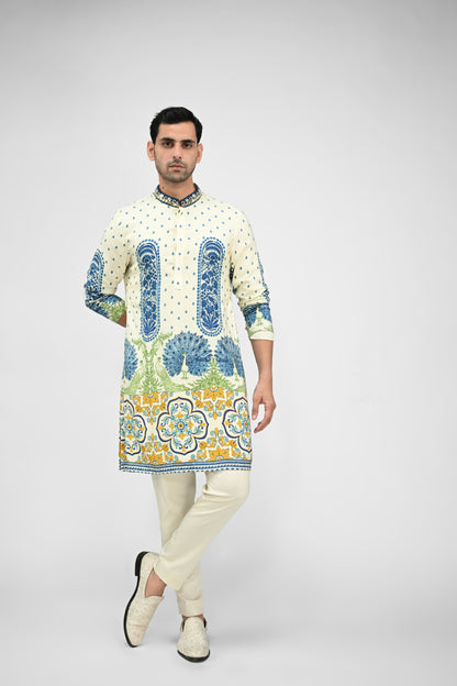 Royal Peacock Printed Kurta