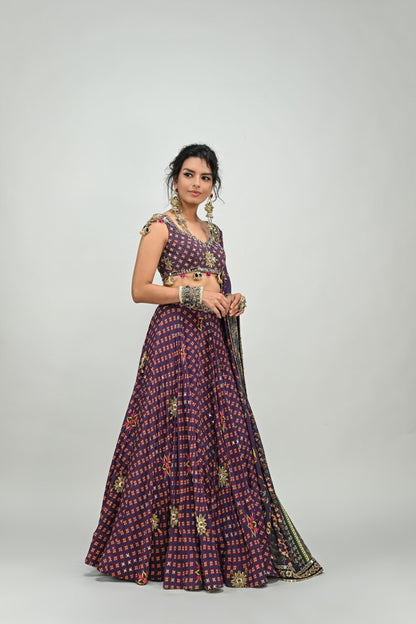 PLUM HIGHLIGHTED LEHENGA PAIRED WITH PLUM BADLA BLOUSE AND HIGHLIGHTED DUPATTA