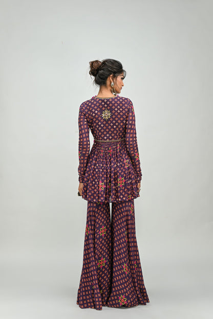 PLUM HIGHLIGHTED SHARARA TOP SET