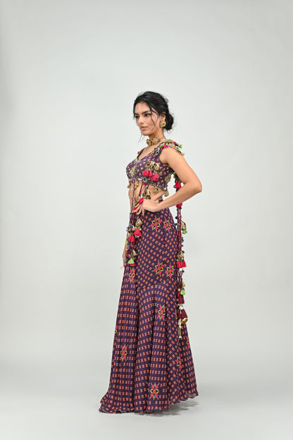 PLUM PRESTITCHED TASSEL SAREE PAIRED WITH BADLA EMBROIDERED PLUM BADLA HIGHLIGHTED BLOUSE