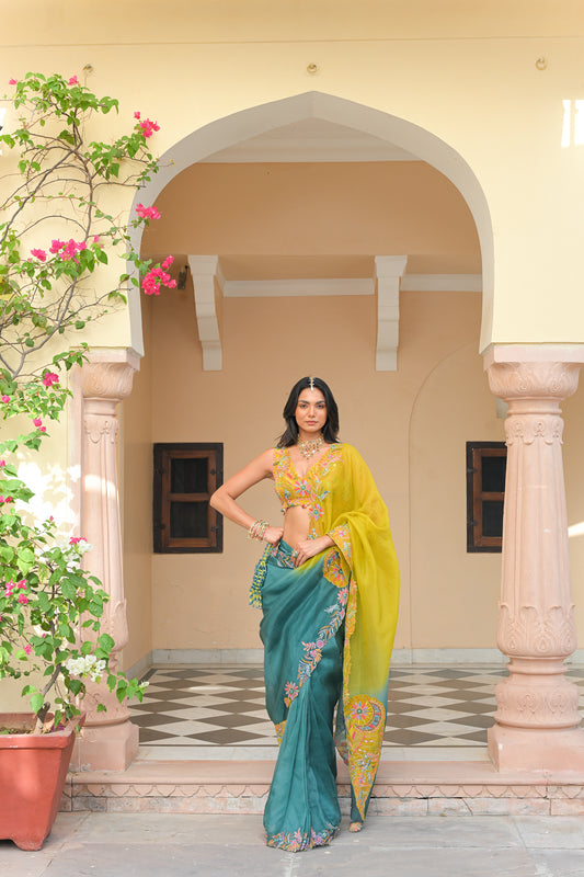 SHADED ORGANZA THREAD WORK APPLIQUE PAISLEY SAREE