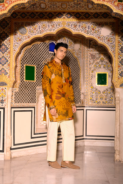 PRINTED ORGANZA KURTA WITH PURTIN & PURTIN WORK & BEIGE FLAIR PANT