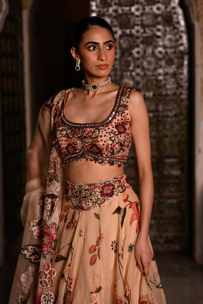 DUEL SHADED APPLIQUE DUPATTA WITH EMB BLOUSE & HIGHLIGHTED LEHENGA